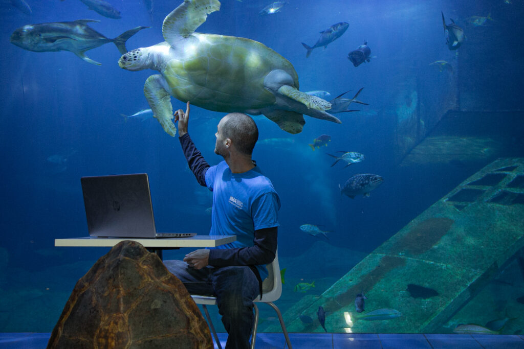 virtual marine aquarium